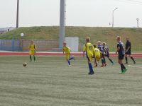 DSC00244