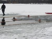 IMG 0784