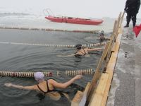 IMG 0871