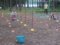 IMG 4049