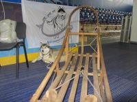 IMG 4542