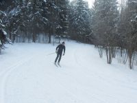 IMG 6376