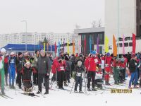 IMG 6559