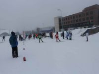 IMG 7986