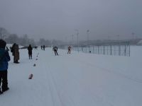 IMG 7991
